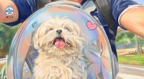 MBC ���� ȥ�� ��١� ĸó