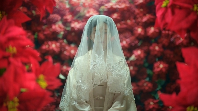 KBS 1TV �����罺���-�ð������ڡ� ����