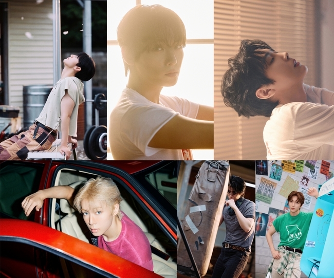FNC�������θ�Ʈ ����