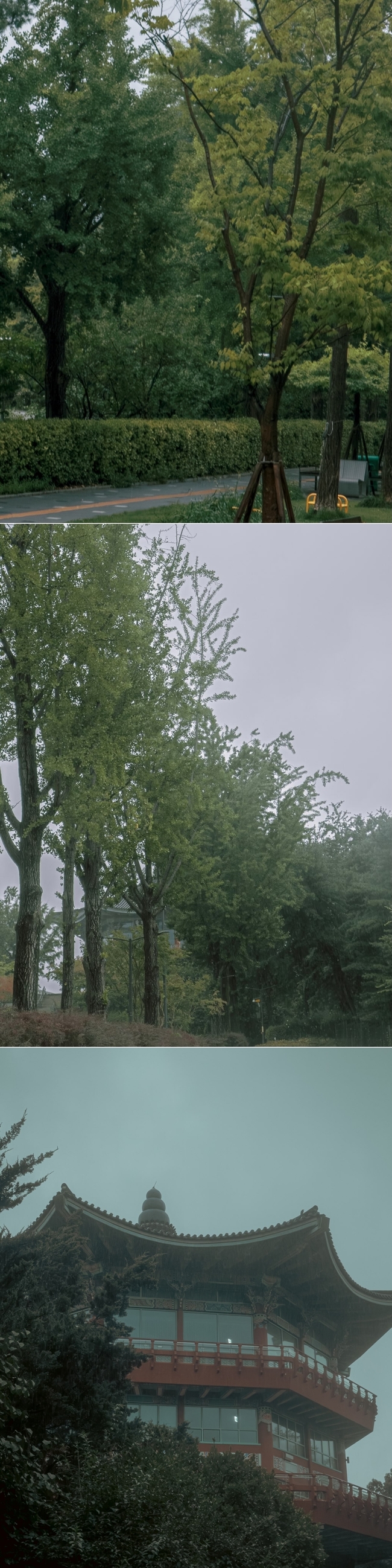 »çÁø=¿øÇÊ ÀνºÅ¸±×·¥