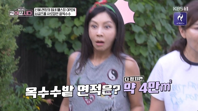KBS 1TV ¡®È²½ÅÇýÀÇ °°ÀÌ »ð½Ã´Ù¡¯ ĸó