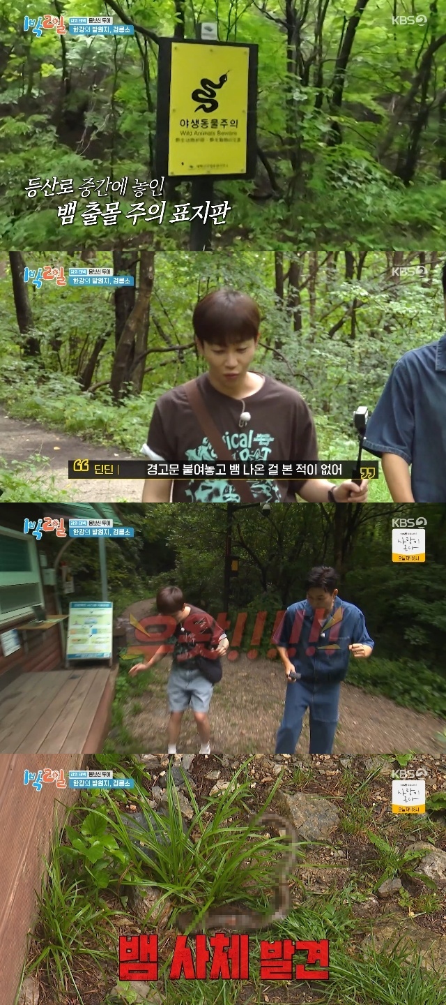 KBS 2TV ‘1박 2일 시즌4’ 캡처