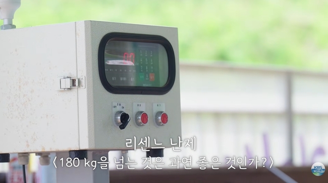 KBS WORLD TV 채널 캡처