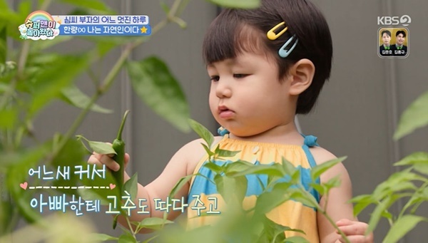 KBS 2TV �����۸��� ���ƿԴ١� ĸó