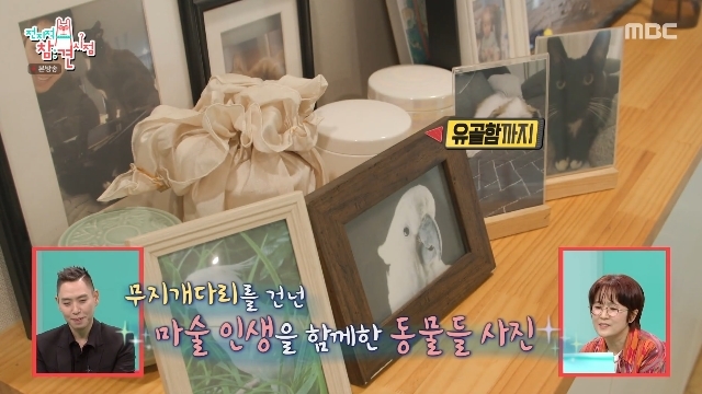 MBC �������� ���� ������ ĸó