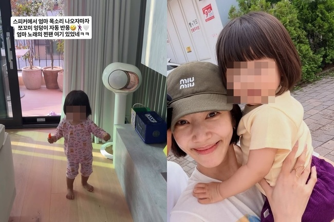 손담비 사회관계망서비스