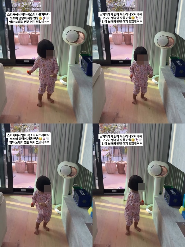 손담비 사회관계망서비스