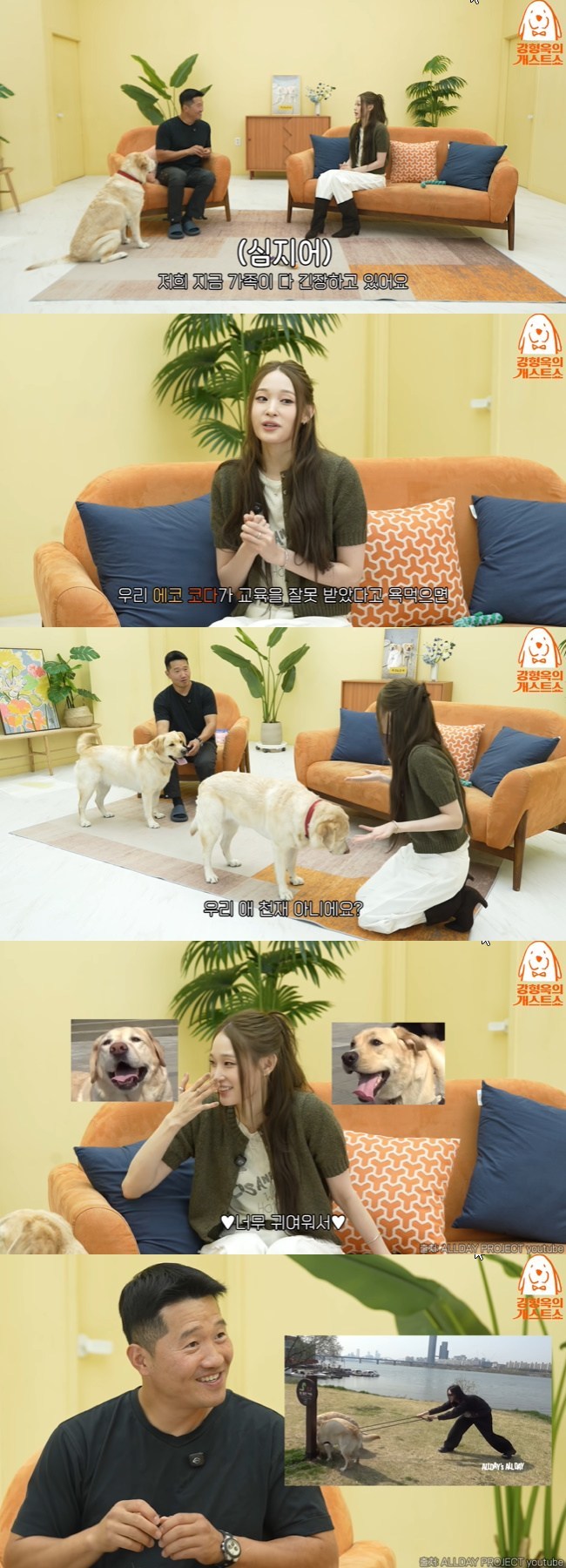 ����=���������� ����TV�� ä�� ���� ĸó