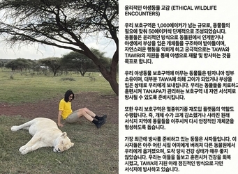 ��ȫö �Ҽȹ̵��