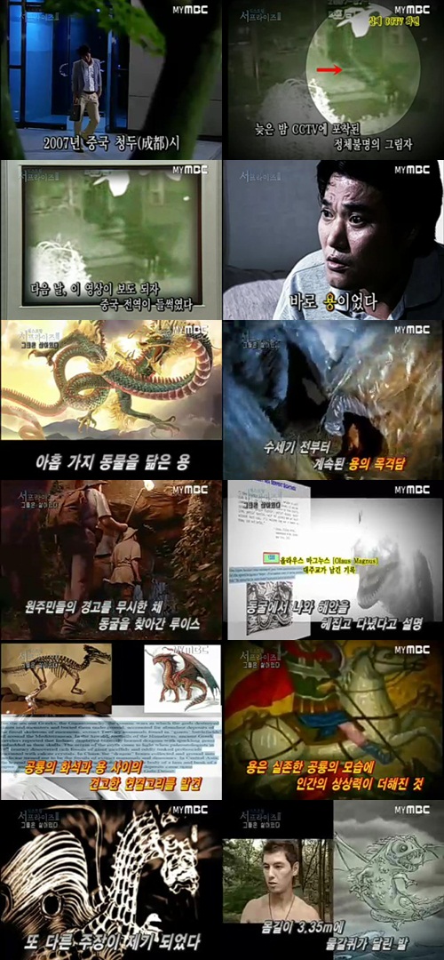 상상속 동물 용, 실존할까? ‘괴생물체 목격담 속출’ - 손에 잡히는 뉴스 눈에 보이는 뉴스 - 뉴스엔