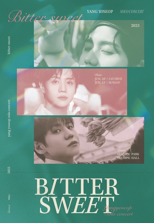 양요섭, 오늘(10일) 5년 만 솔로 콘서트 ‘BITTER SWEET’ 개최 손에 잡히는 뉴스 눈에 보이는 뉴스 뉴스엔