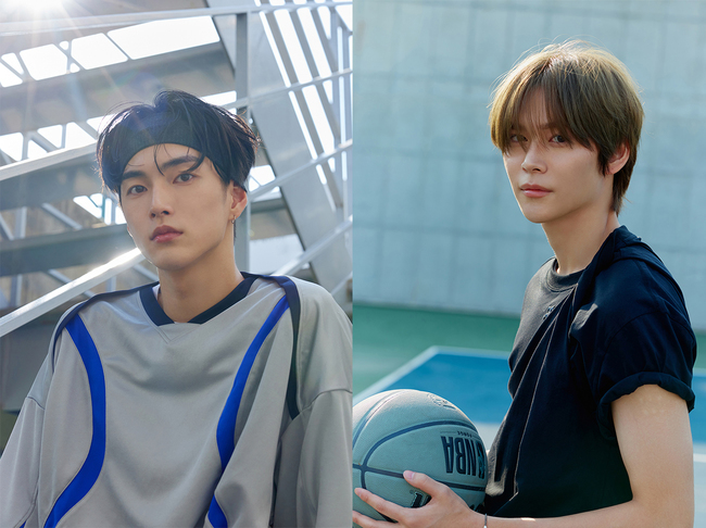 ���ʺ��� ����, ����