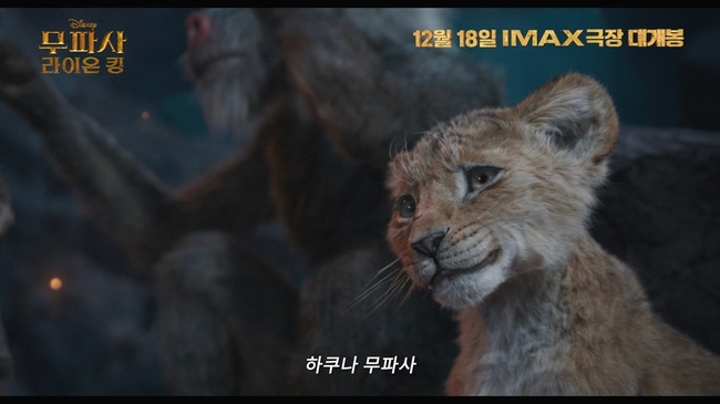 무파사 아기 사자 리즈 시절 공개‥‘무파사:라이온 킹’ 12월18일 개봉 - 손에 잡히는 뉴스 눈에 보이는 뉴스 - 뉴스엔