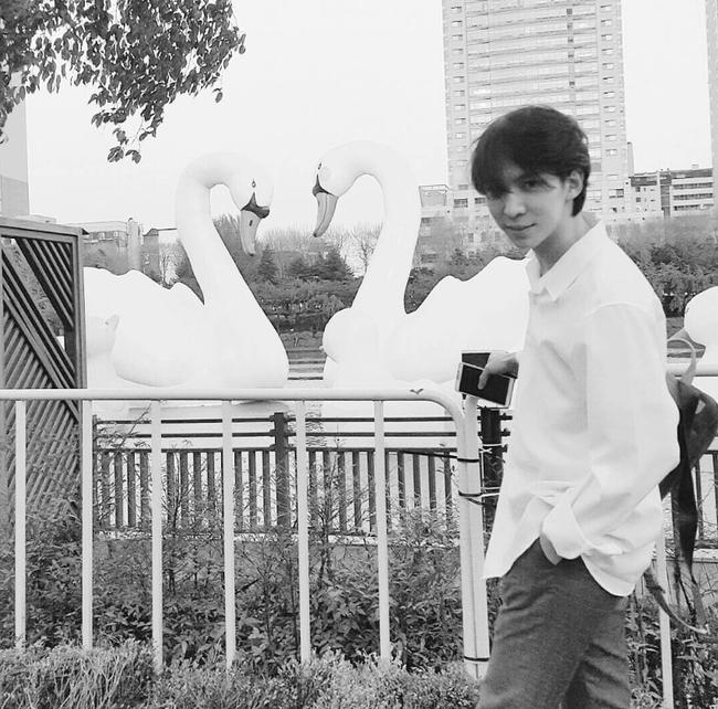 차강석, 계엄 환영 발언 그후 “해고 통보 받아, 상대 존중 못하는 실태 안타까워”[전문] - 손에 잡히는 뉴스 눈에 보이는 ...