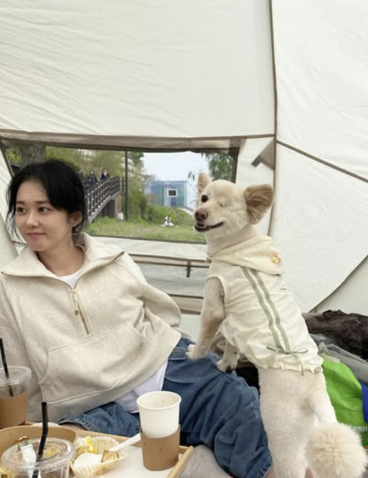 �峪�� �Ҽ� ���� ĸó