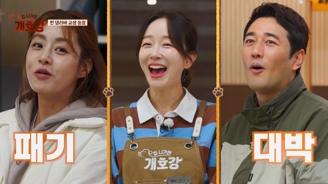 =JTBC   ȣ