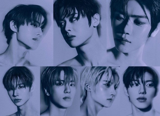 »çÁø=¾ðÄÚ¾î Á¦°ø