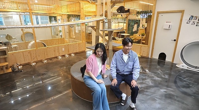 ä³ÎA ¡®¿äÁò ³²ÀÚ ¶óÀÌÇÁ-½Å¶û¼ö¾÷¡¯