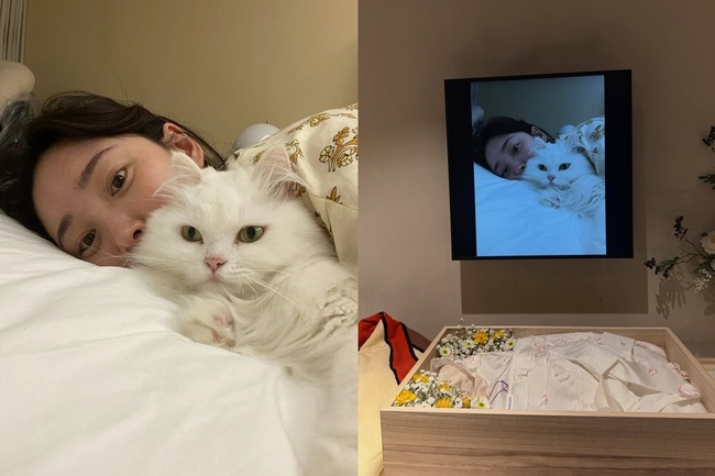 ÃÖÈñ ¼Ò¼È³×Æ®¿öÅ©¼ºñ½º °èÁ¤