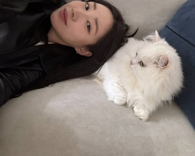 ÃÖÈñ ¼Ò¼È³×Æ®¿öÅ©¼ºñ½º °èÁ¤