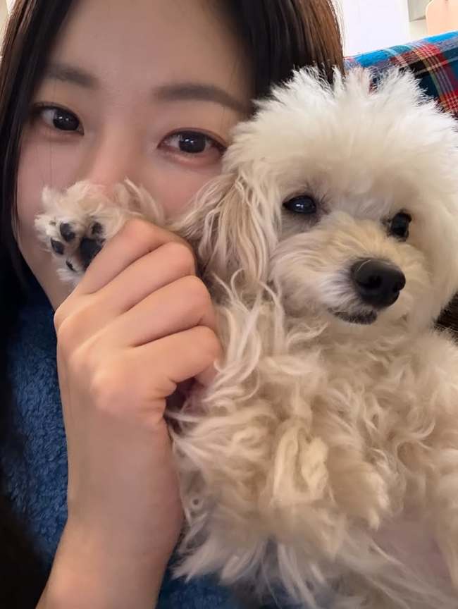 ���� �Ҽȹ̵��