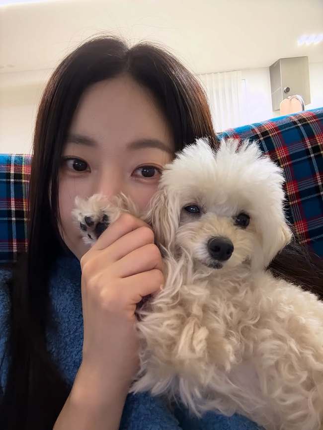 ���� �Ҽȹ̵��