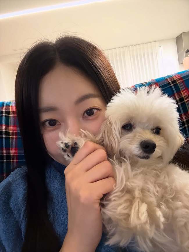 ���� �Ҽȹ̵��