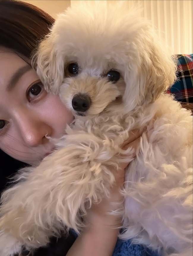 ���� �Ҽȹ̵��