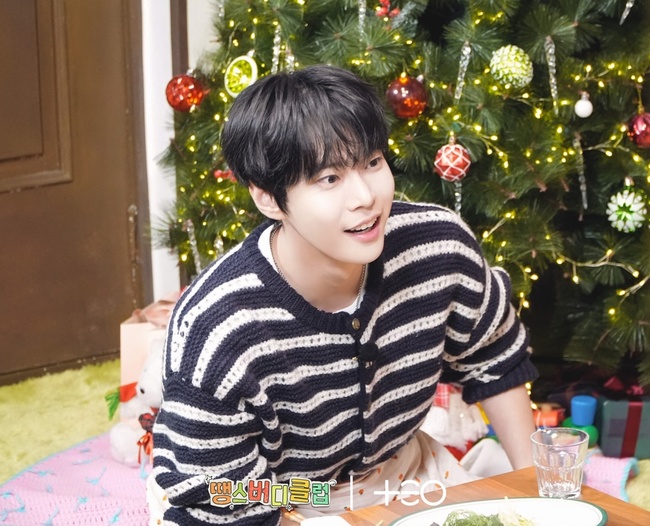 ����=TEO ����