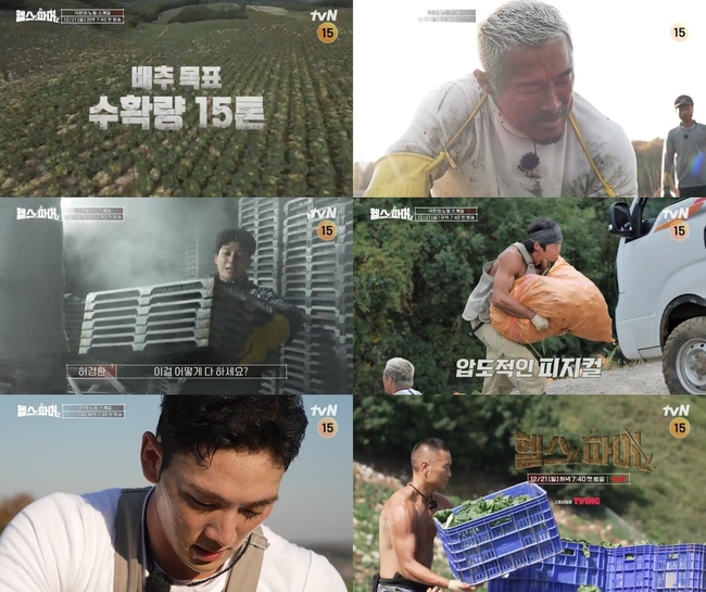 ����=tvN ����