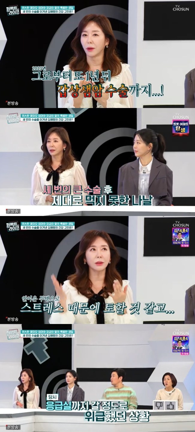 »çÁø=TVÁ¶¼± ¡®ÆÛÆåÆ® ¶óÀÌÇÁ¡¯ ĸó