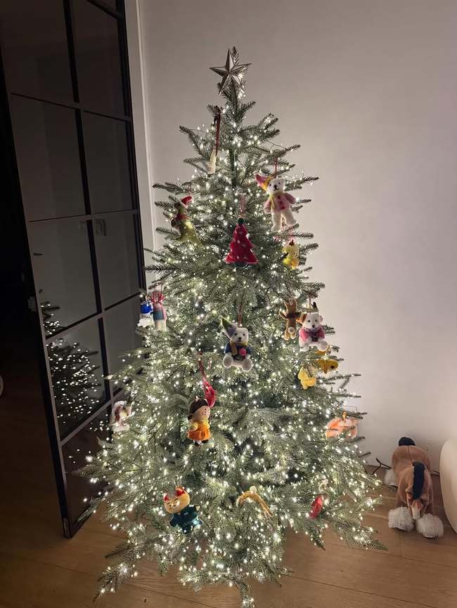 �̹��� �Ҽȹ̵��