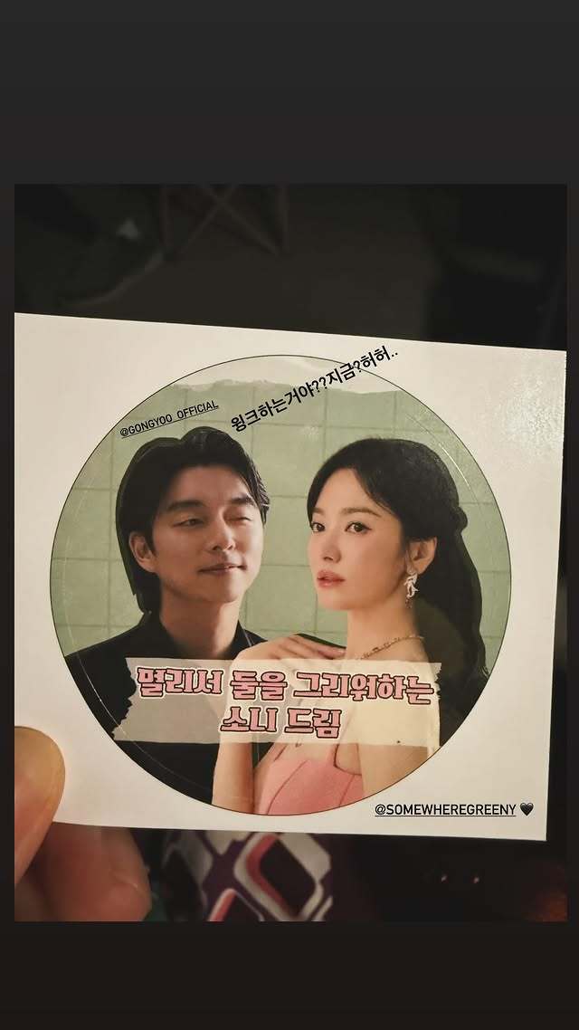 ¼ÛÇý±³ ¼Ò¼È¹Ìµð¾î