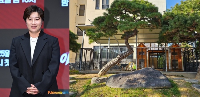 ´º½º¿£ DB, ¹Ú¼¼¸® ¼Ò¼È³×Æ®¿öÅ©¼ºñ½º °èÁ¤