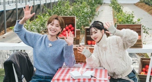 ���ø��� ���嵵�ٸ��ٸ��� ����