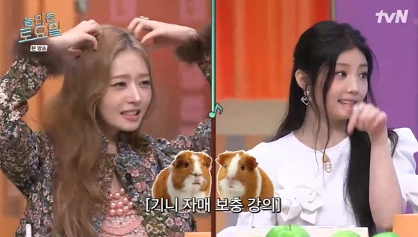 tvN ������ ����ϡ�