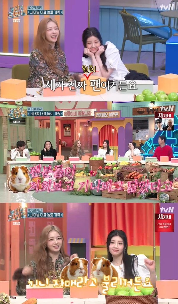 tvN ������ ����ϡ�