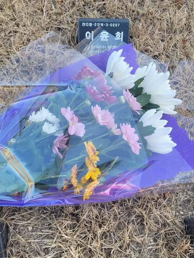 �迵�� �Ҽȹ̵��