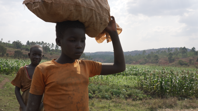 ����=KBS 1TV ���ٴ� �ǳ� ����� ����5 