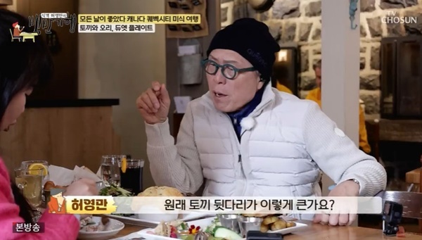 TV���� ���㿵���� ��ݱ��࡯