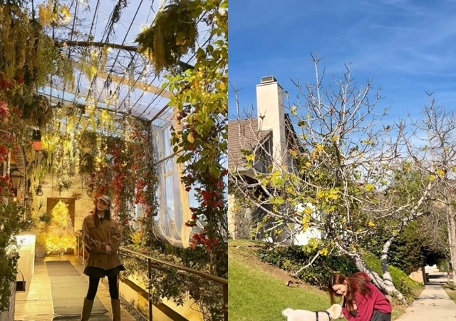 �̴��� �Ҽȹ̵��