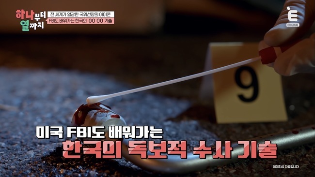 ����=Ƽĳ��Ʈ Eä�� ���ϳ����� ��������