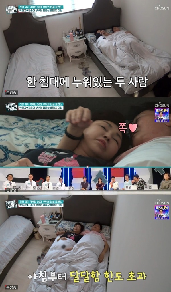 TV���� ������Ʈ��������