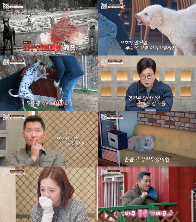 ����=ä��A ������ ������ �ð�2��