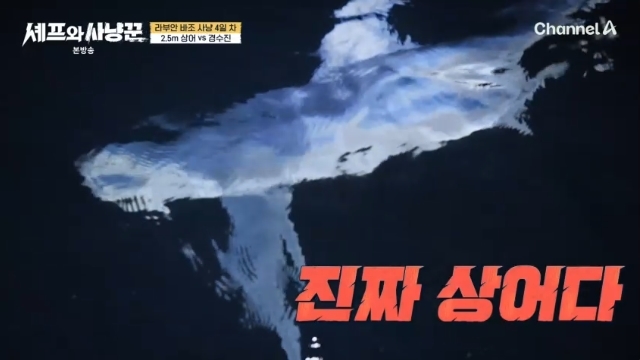 ä��A �������� ��ɲۡ� ĸó