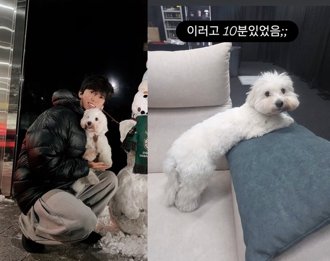 ÀÓ¿µ¿õ ¼Ò¼È¹Ìµð¾î