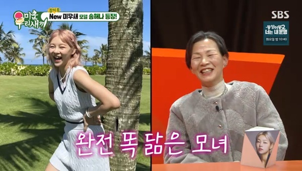 SBS 미운 우리 새끼에 합류한 송해나 관련 보도 이미지