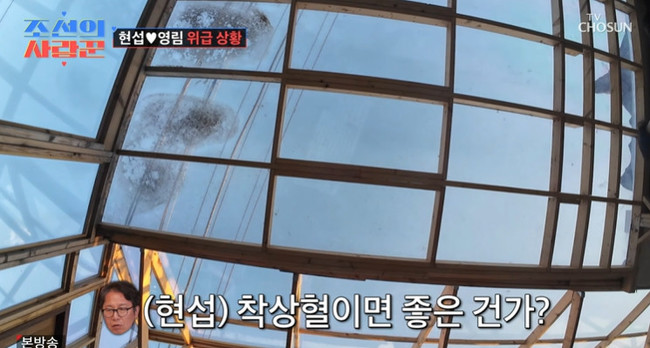 TV���� �������� ����ۡ�