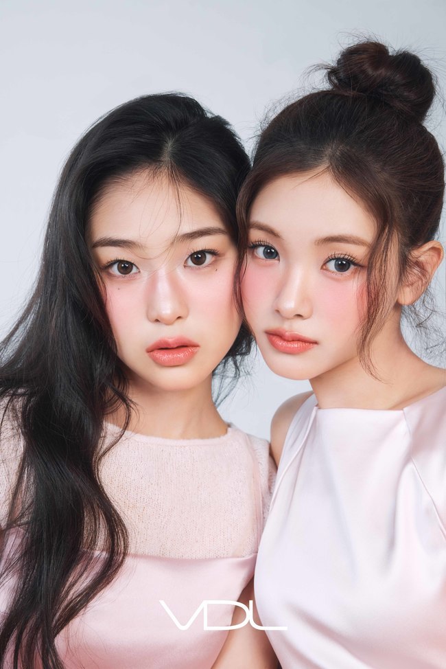 �������� = VDL