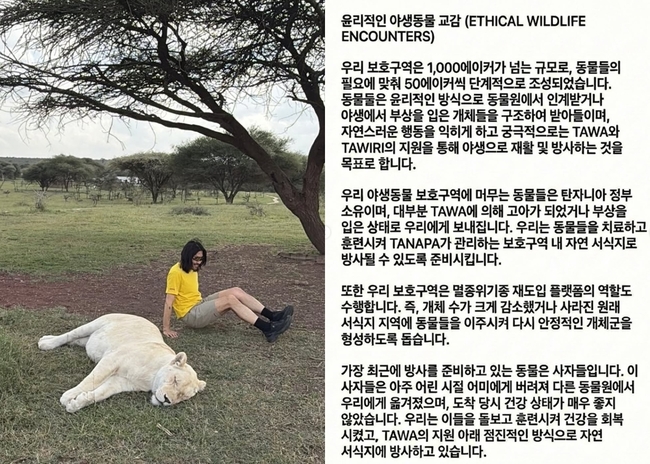 ��ȫö �Ҽȹ̵��